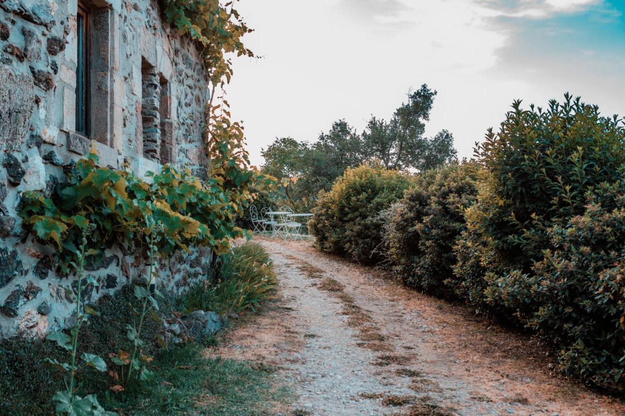 Maison D'Hotes Le Hameau De La Mure Saint-Laurent-du-Pape 外观 照片