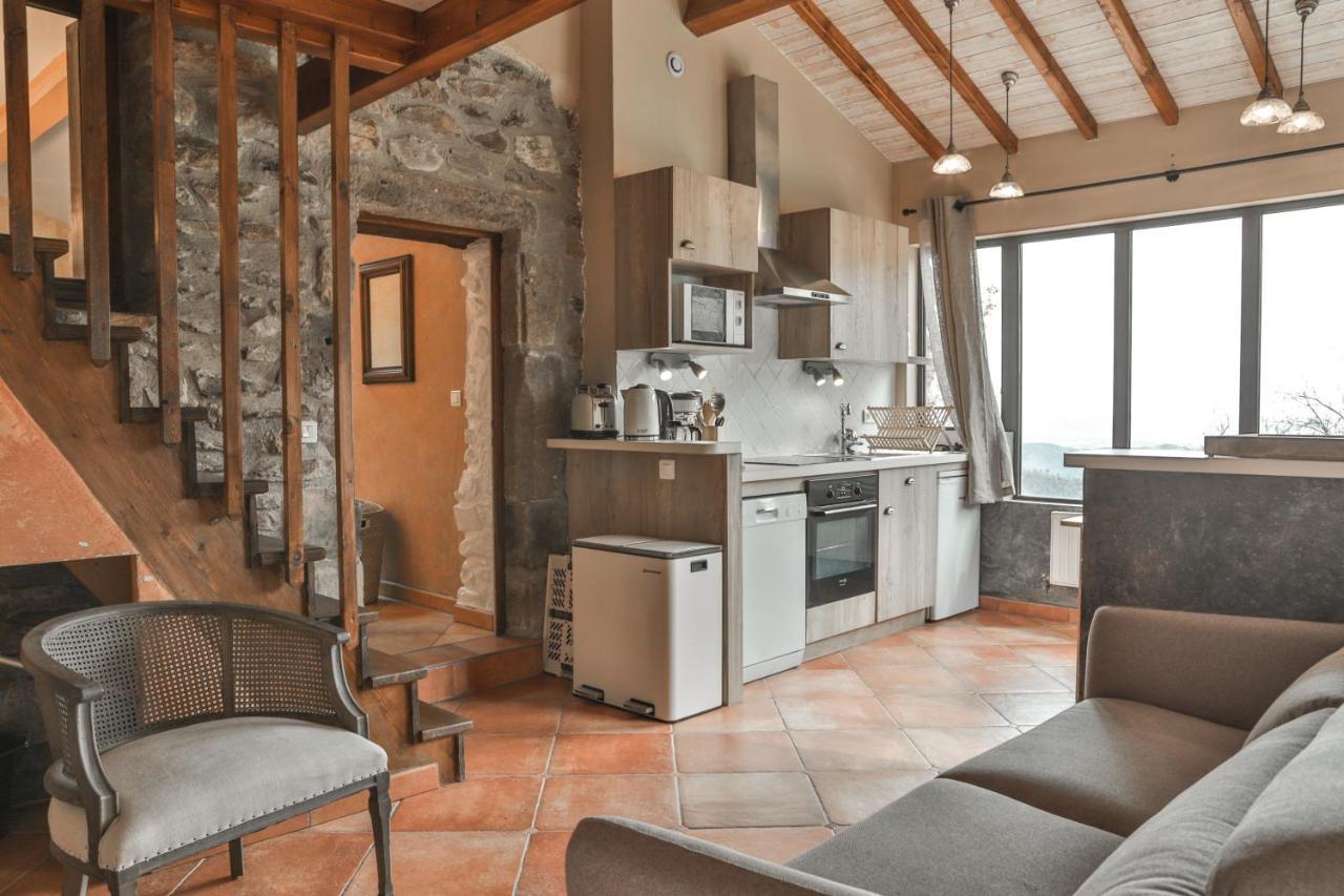 Maison D'Hotes Le Hameau De La Mure Saint-Laurent-du-Pape 外观 照片