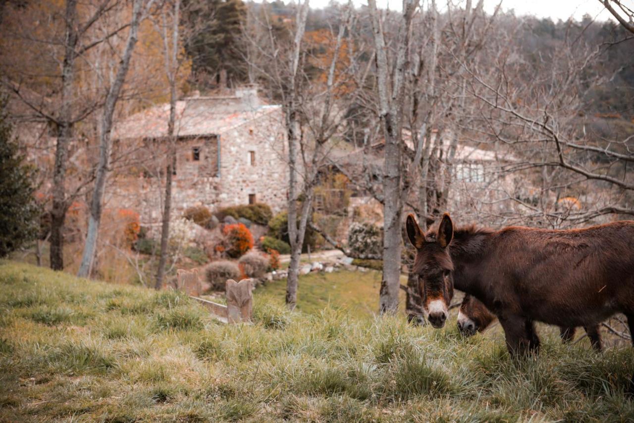 Maison D'Hotes Le Hameau De La Mure Saint-Laurent-du-Pape 外观 照片