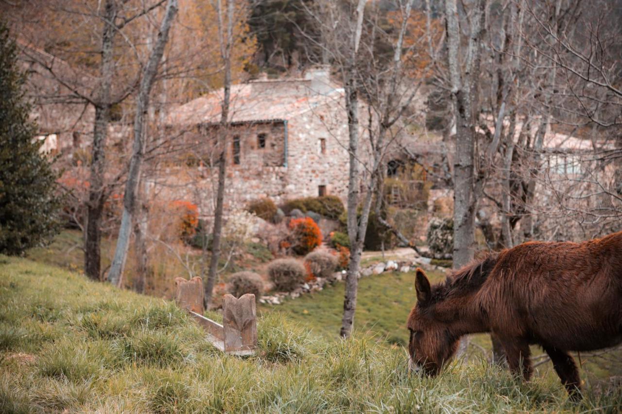 Maison D'Hotes Le Hameau De La Mure Saint-Laurent-du-Pape 外观 照片