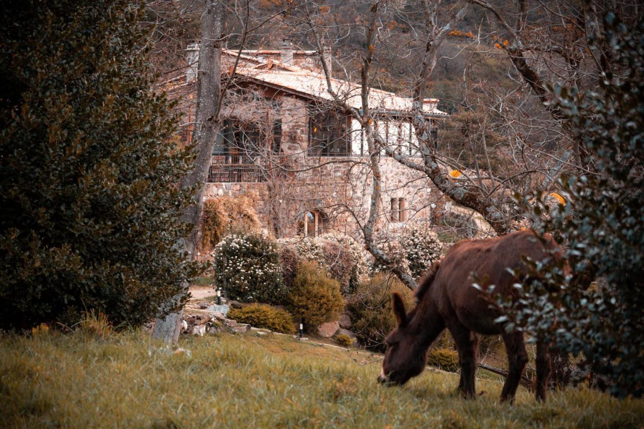Maison D'Hotes Le Hameau De La Mure Saint-Laurent-du-Pape 外观 照片